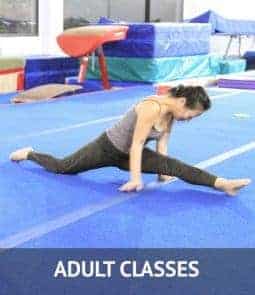 adult-gymnastics-classes Home